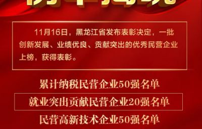 喜报|龙江赞美优良民营企业 pg麻将胡了收成两项殊荣
