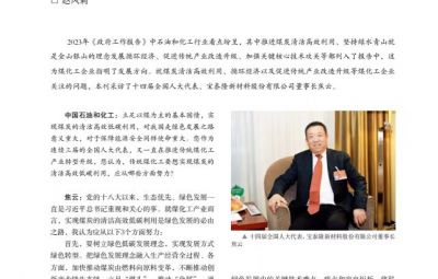 突破传统走绿色转型之路——访十四届全国人大代表、pg麻将胡了董事长焦云