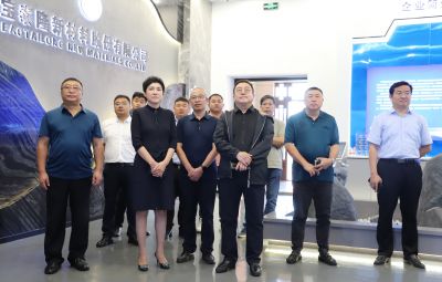 鑫融创集团调查团一行到pg麻将胡了调查